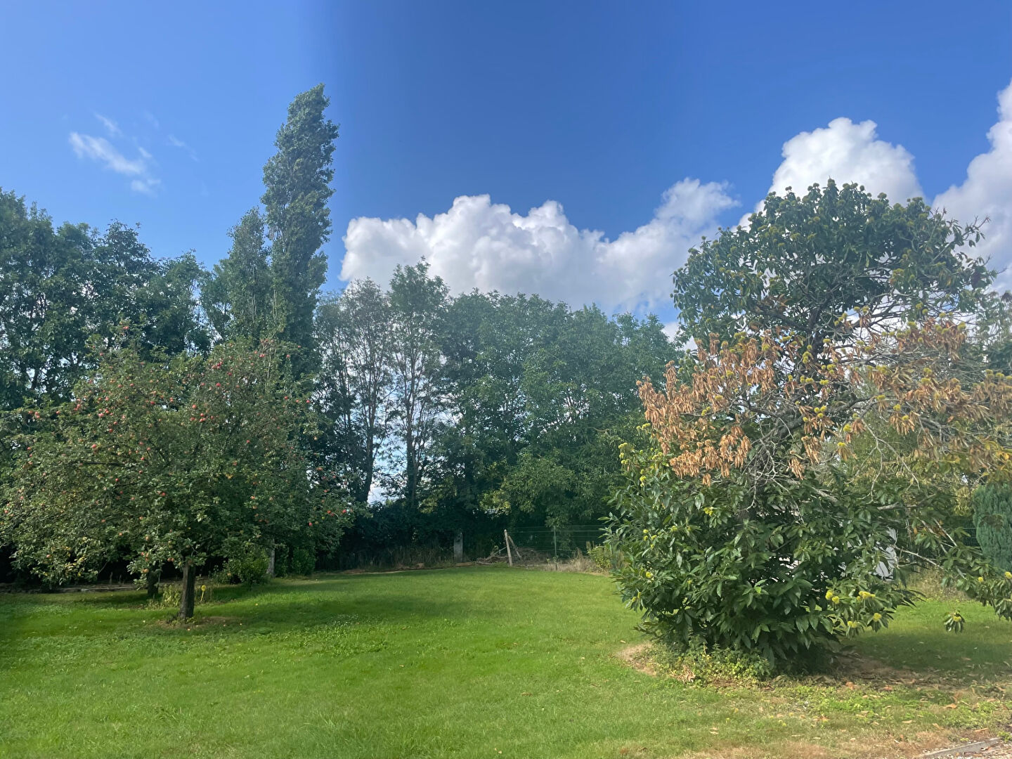 Photo MAISON A VENDRE 10 MNS LYONS LA FORET image 2/6