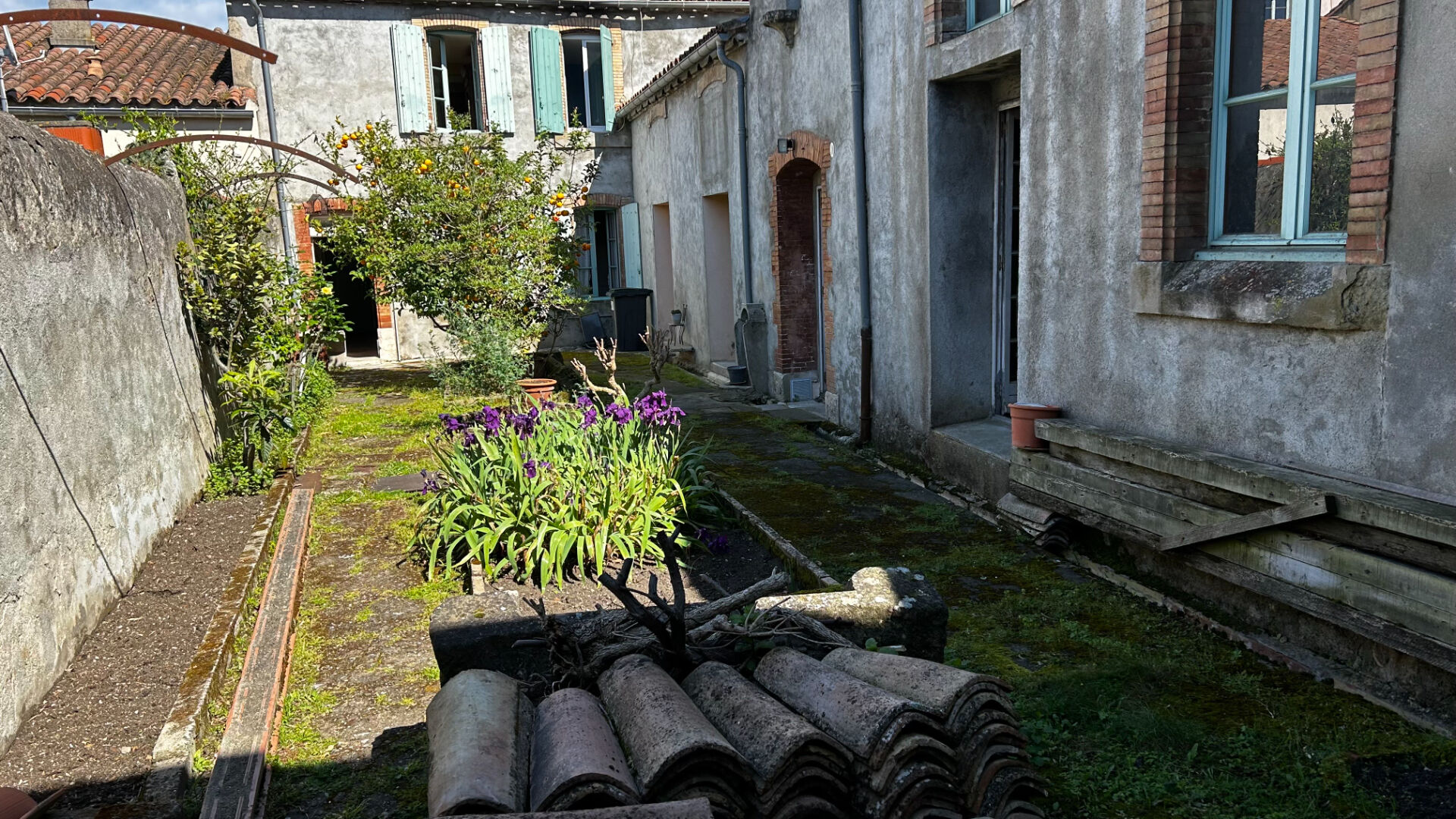 Agence immobilière de ARTE VIVENDI IMMOBILIER