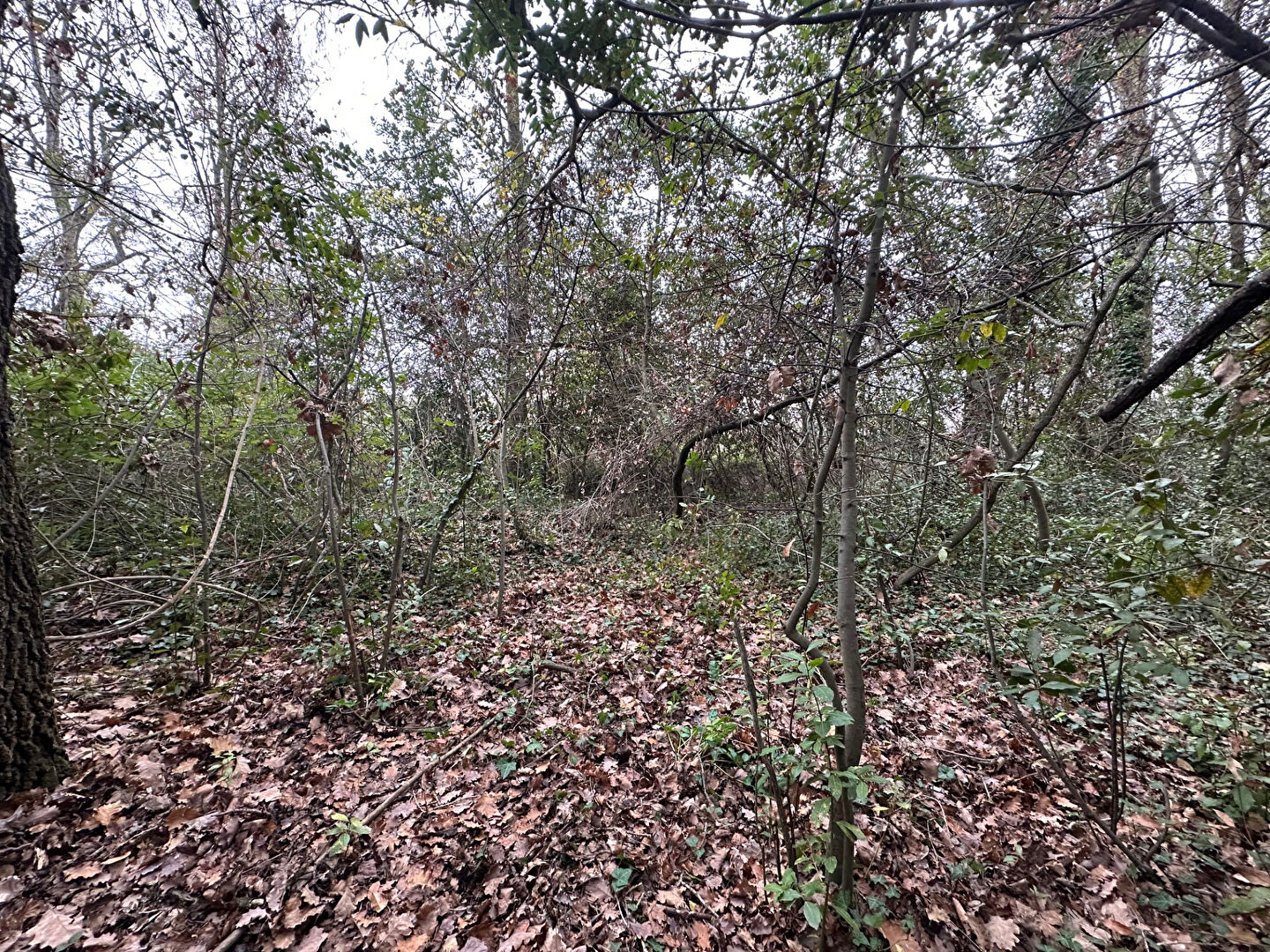 Agence immobilière de ARTE VIVENDI IMMOBILIER