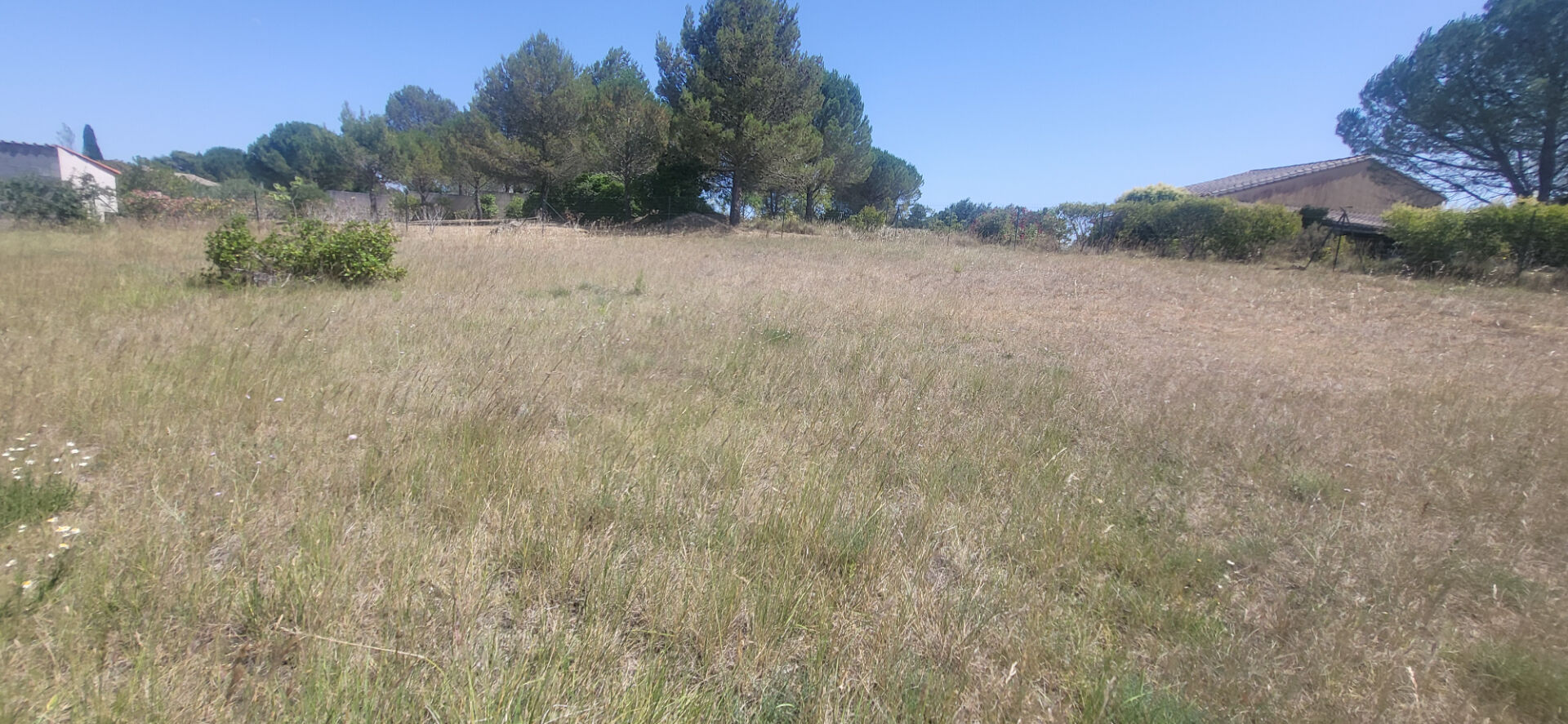 TERRAIN VIABILISE VILLEMOUSTAUSSOU