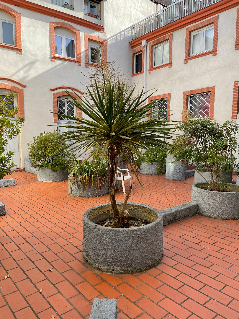 Agence immobilière de Pichet Immobilier Services - Pichet TOULOUSE