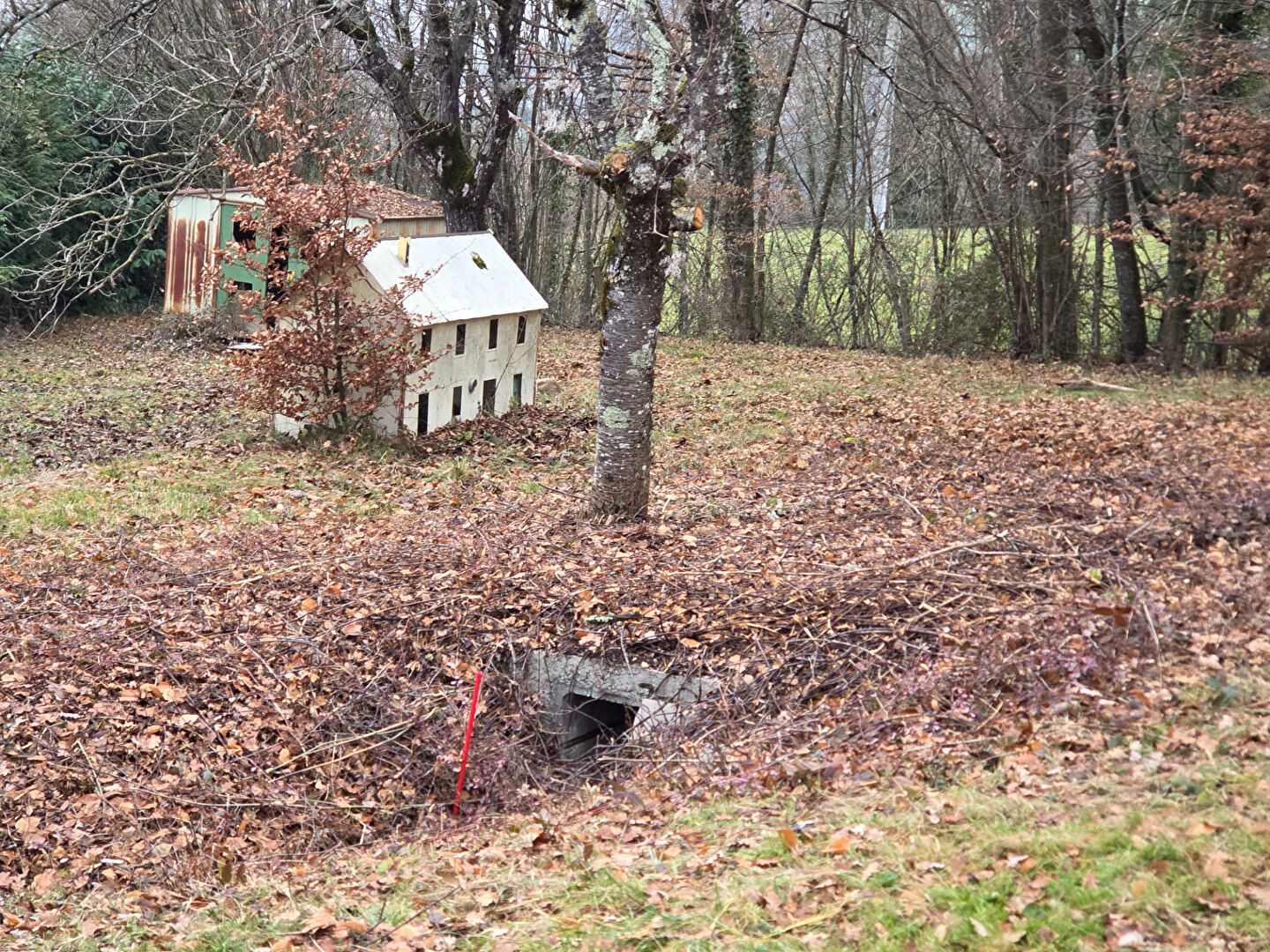 Agence immobilière de RivierAlp'Immo