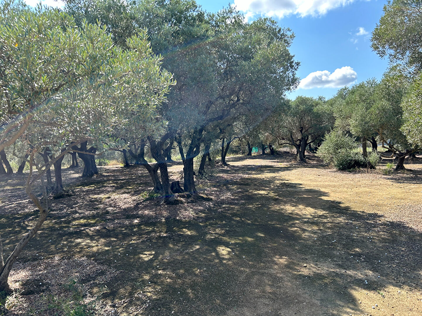 Agence immobilière de Azur Immobilier Istres