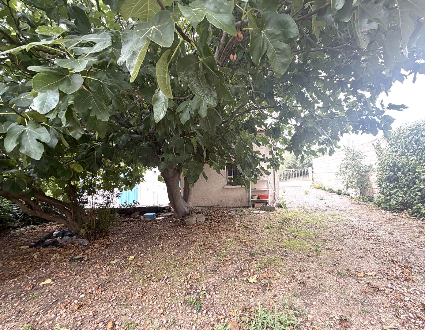 Agence immobilière de Azur Immobilier Istres