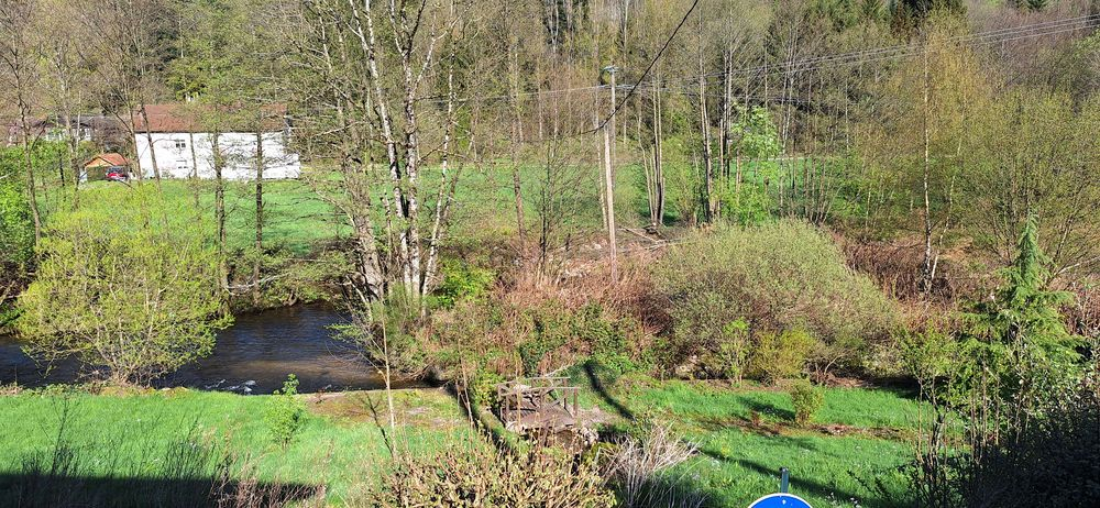 Photo 5 min de LA BRESSE image 6/6