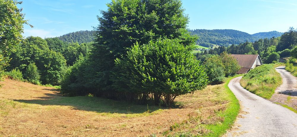 Photo Belle Ferme avec plus de 6,6 Ha de terrain image 2/3