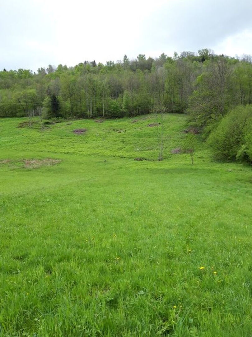 Agence immobilière de BELKHIR IMMO Ventron