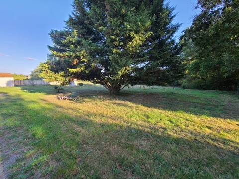 Photo Maison 3 chambres Sainte Pazanne image 6/6