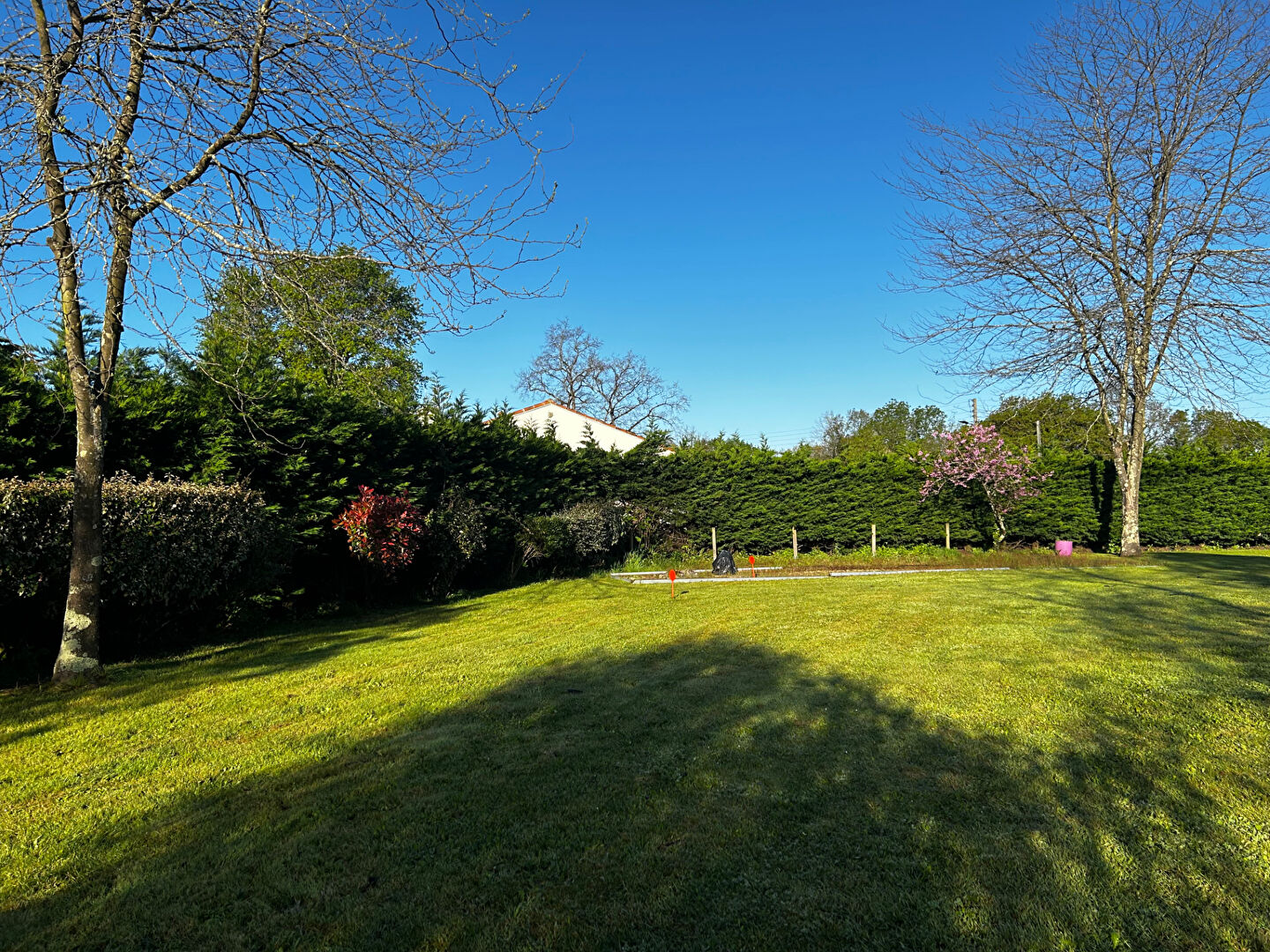 Photo Terrain à Bouaye image 2/4