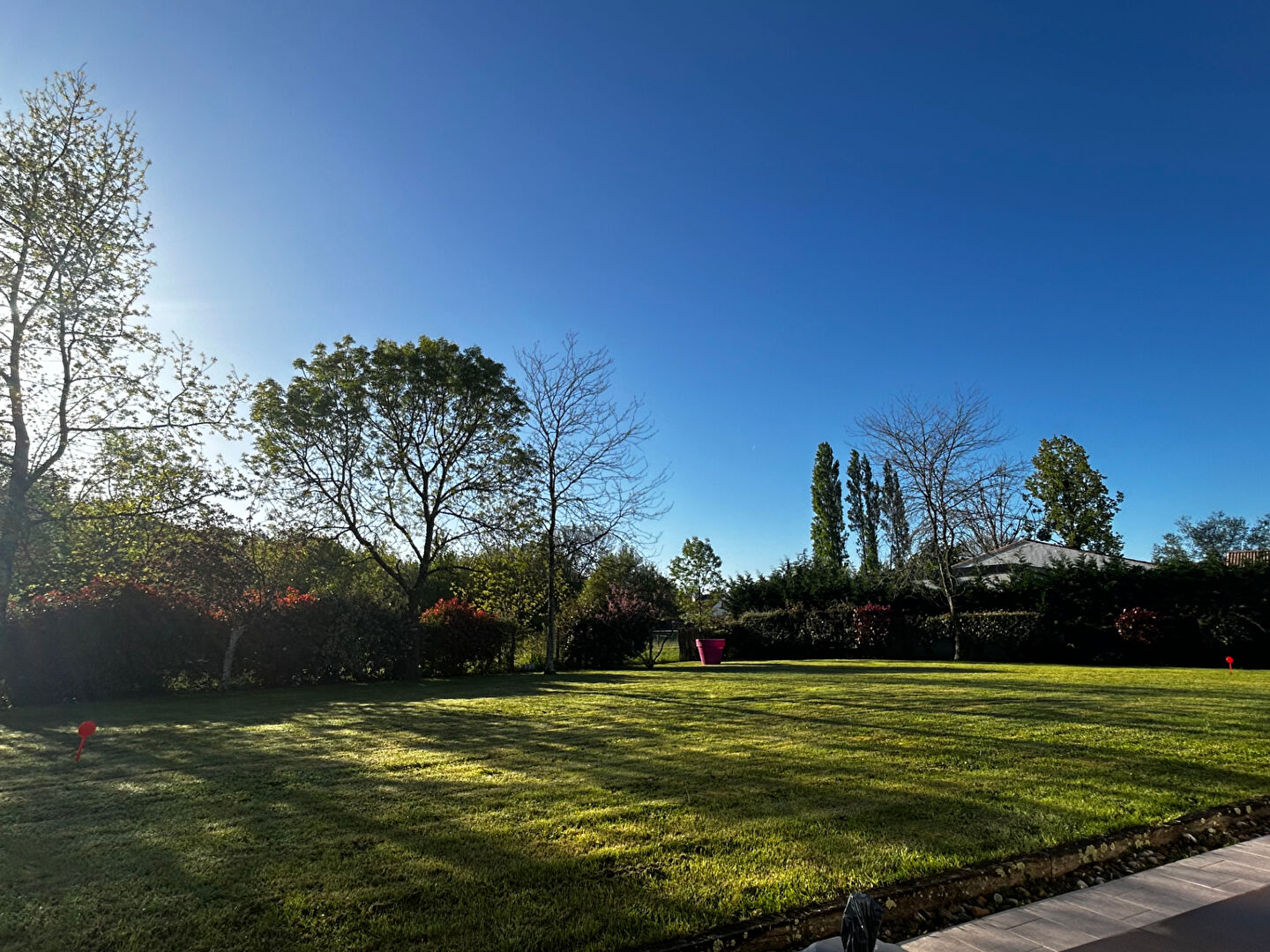 Photo Terrain à Bouaye image 3/4