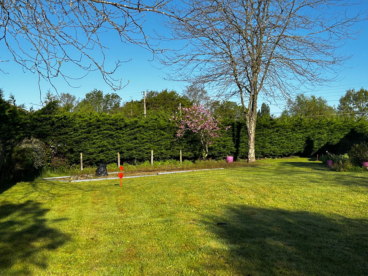 Photo Terrain à Bouaye image 4/4