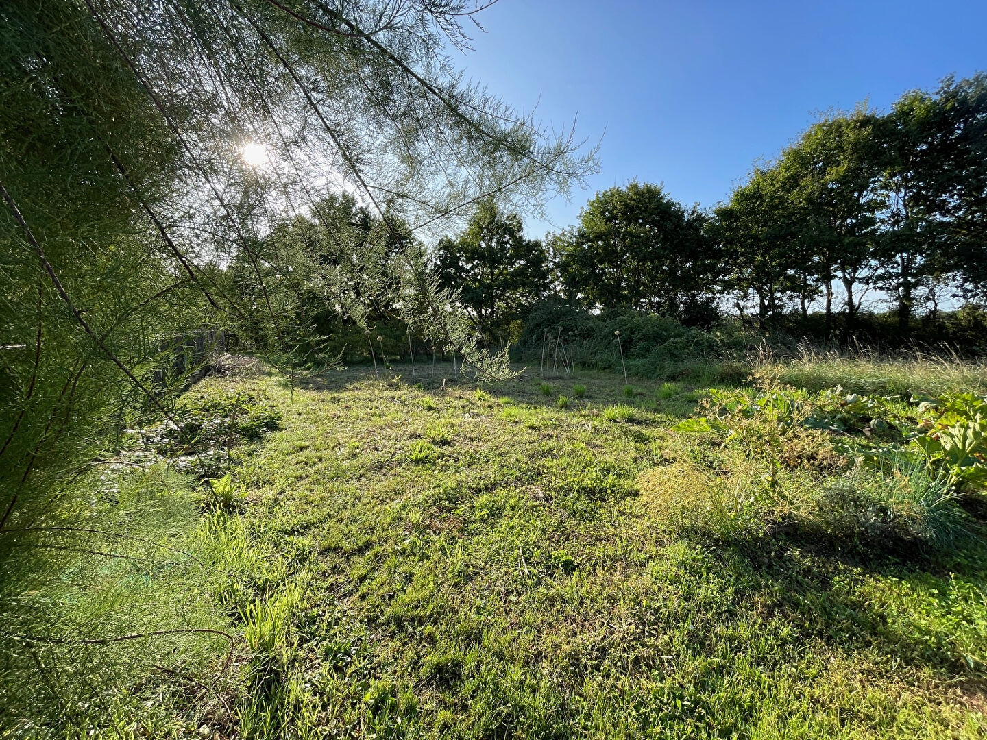 Hangar à Saint leger les vignes