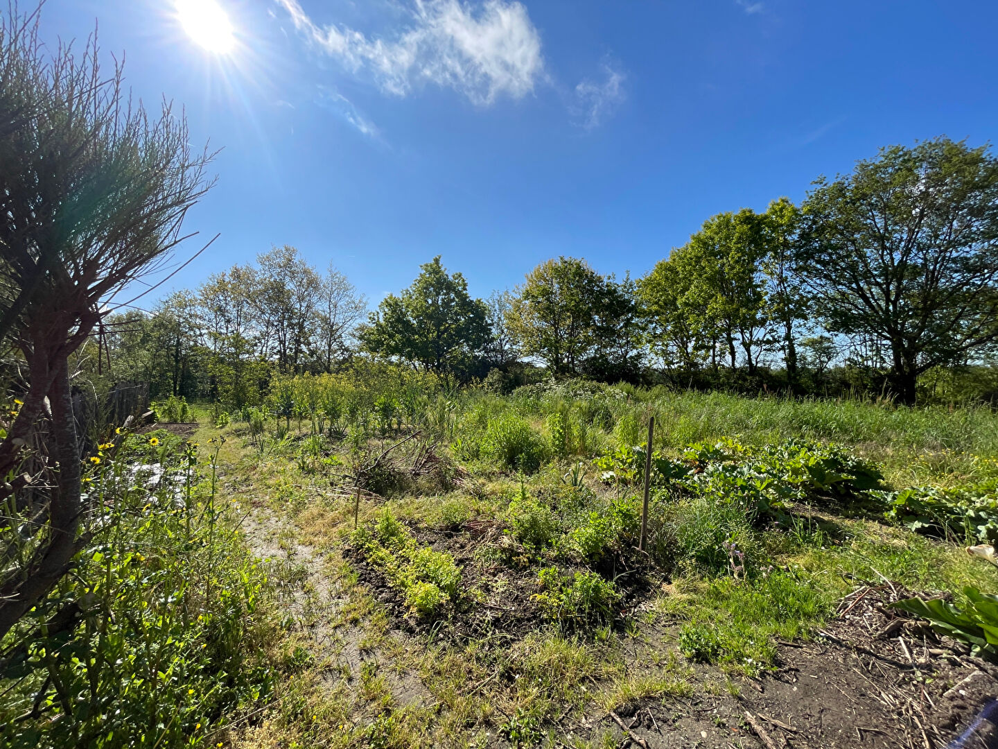 Photo Hangar à Saint leger les vignes image 2/5
