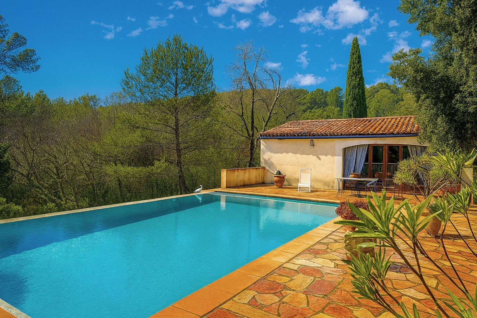 Photo Flayosc villa avec piscine pool house sur 6000 m² de terrain image 3/6