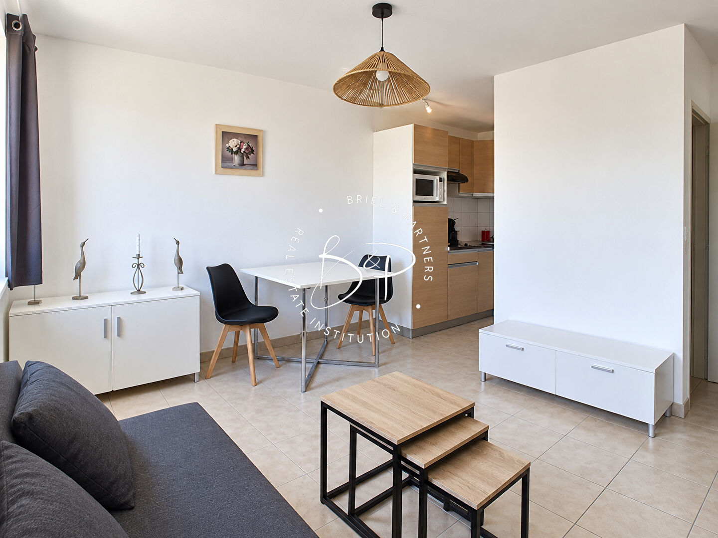 Agence immobilière de Briel,  Partners