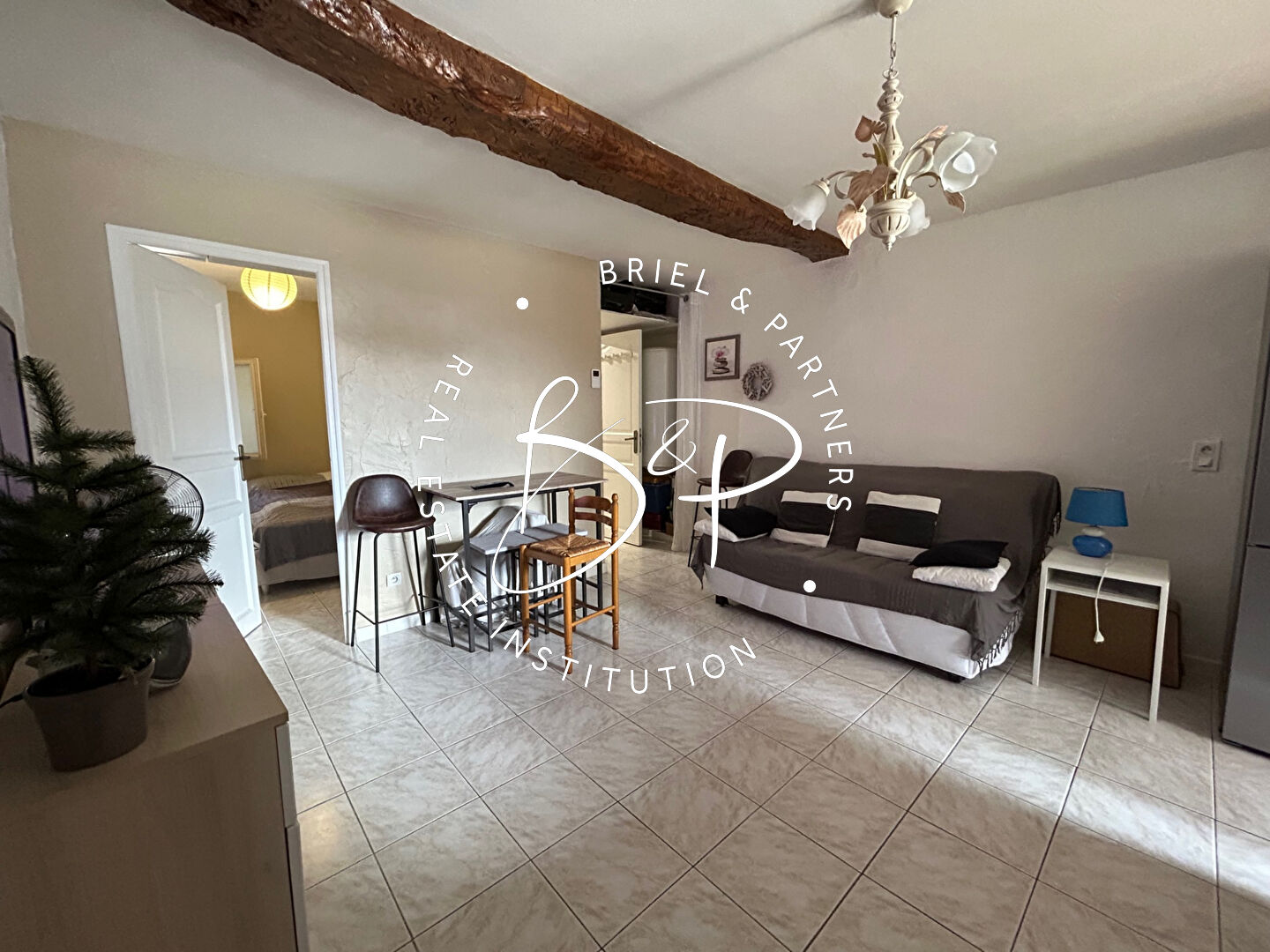 Agence immobilière de Briel,  Partners