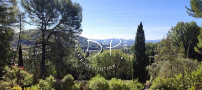 Photo Maison Lorgues de 206 m² 4 chambres, un studio sur 6100 m² de terrain image 5/6