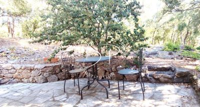 Photo Maison Lorgues de 206 m² 4 chambres, un studio sur 6100 m² de terrain image 6/6