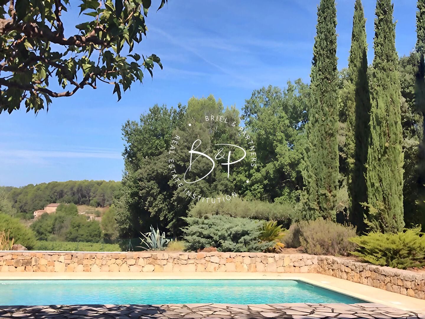 Photo Lorgues / Saint Antonin Villa 4 ch piscine sur oliveraie de 3500 m² image 5/6