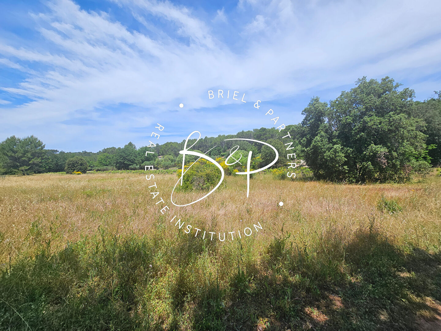 Agence immobilière de Briel,  Partners