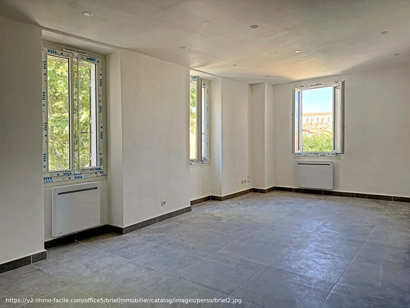 Agence immobilière de Briel,  Partners