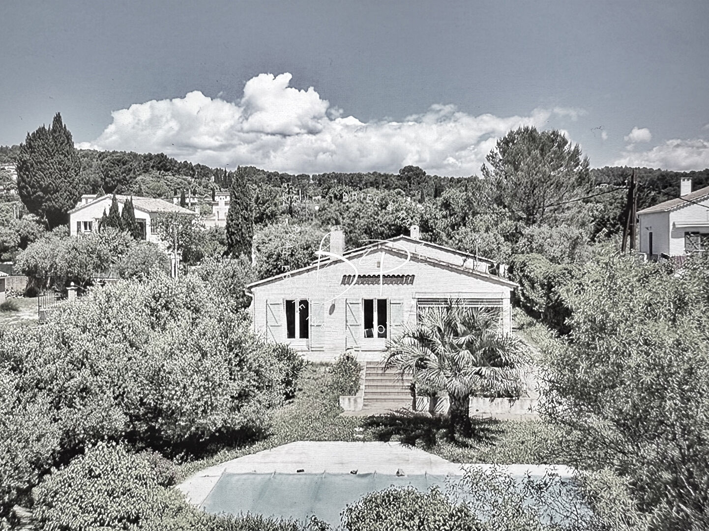 Agence immobilière de Briel,  Partners