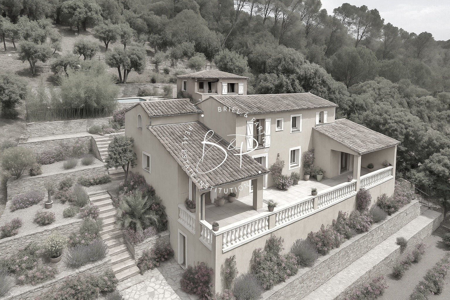 Agence immobilière de Briel,  Partners