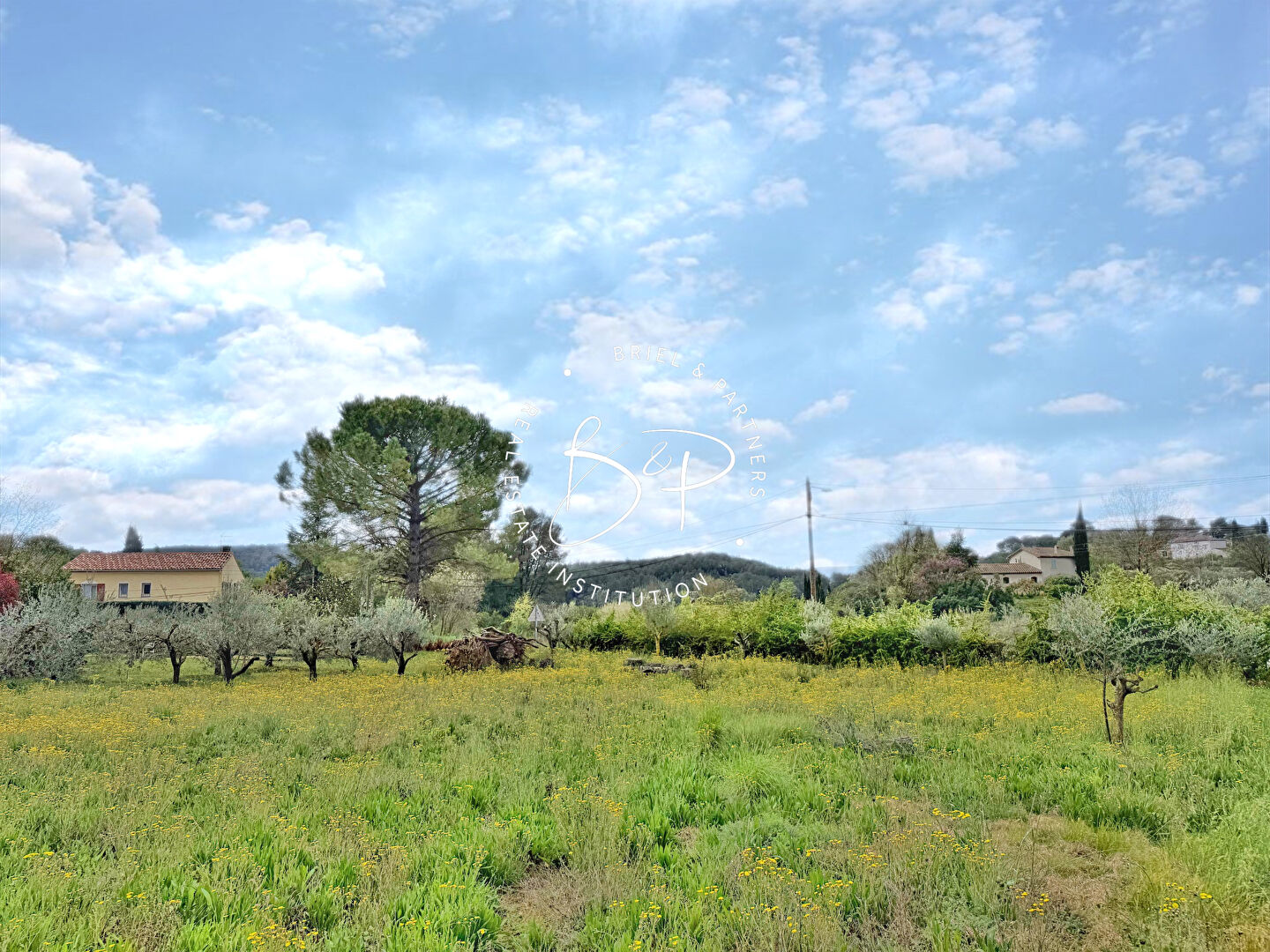 Agence immobilière de Briel,  Partners