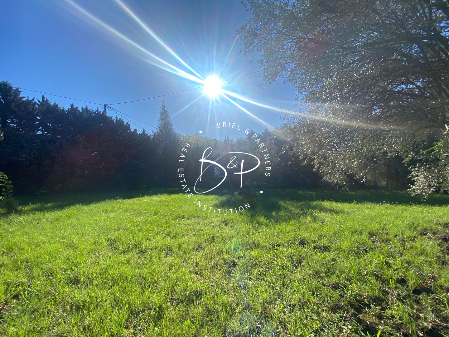 Agence immobilière de Briel,  Partners