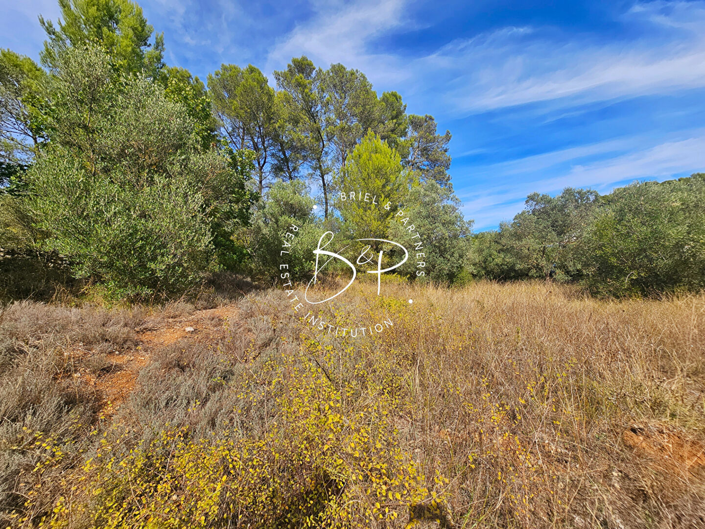 Draguignan - A vendre - Terrain constructible de 1230 m² avec Permis de Construire accordé