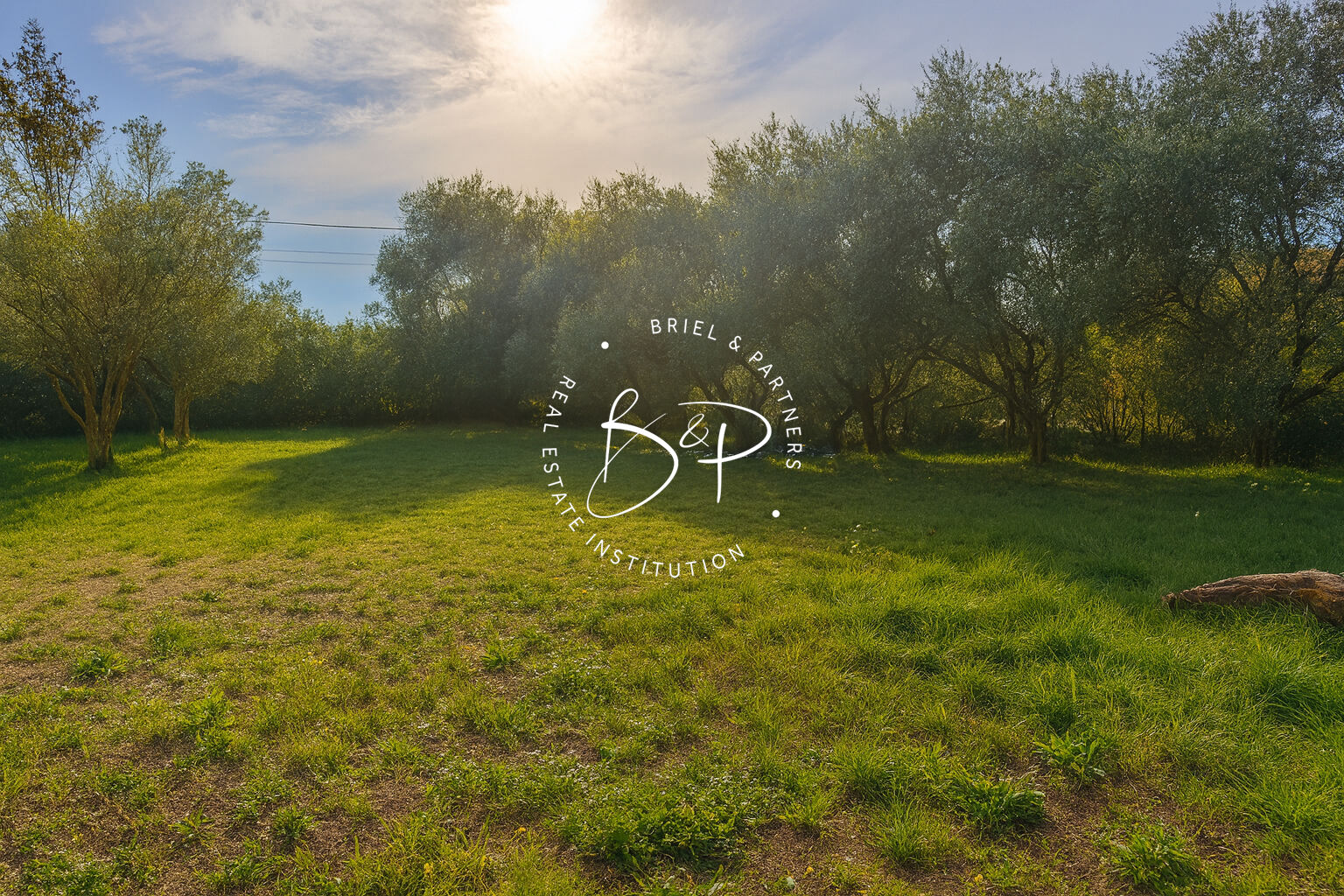 Agence immobilière de Briel,  Partners