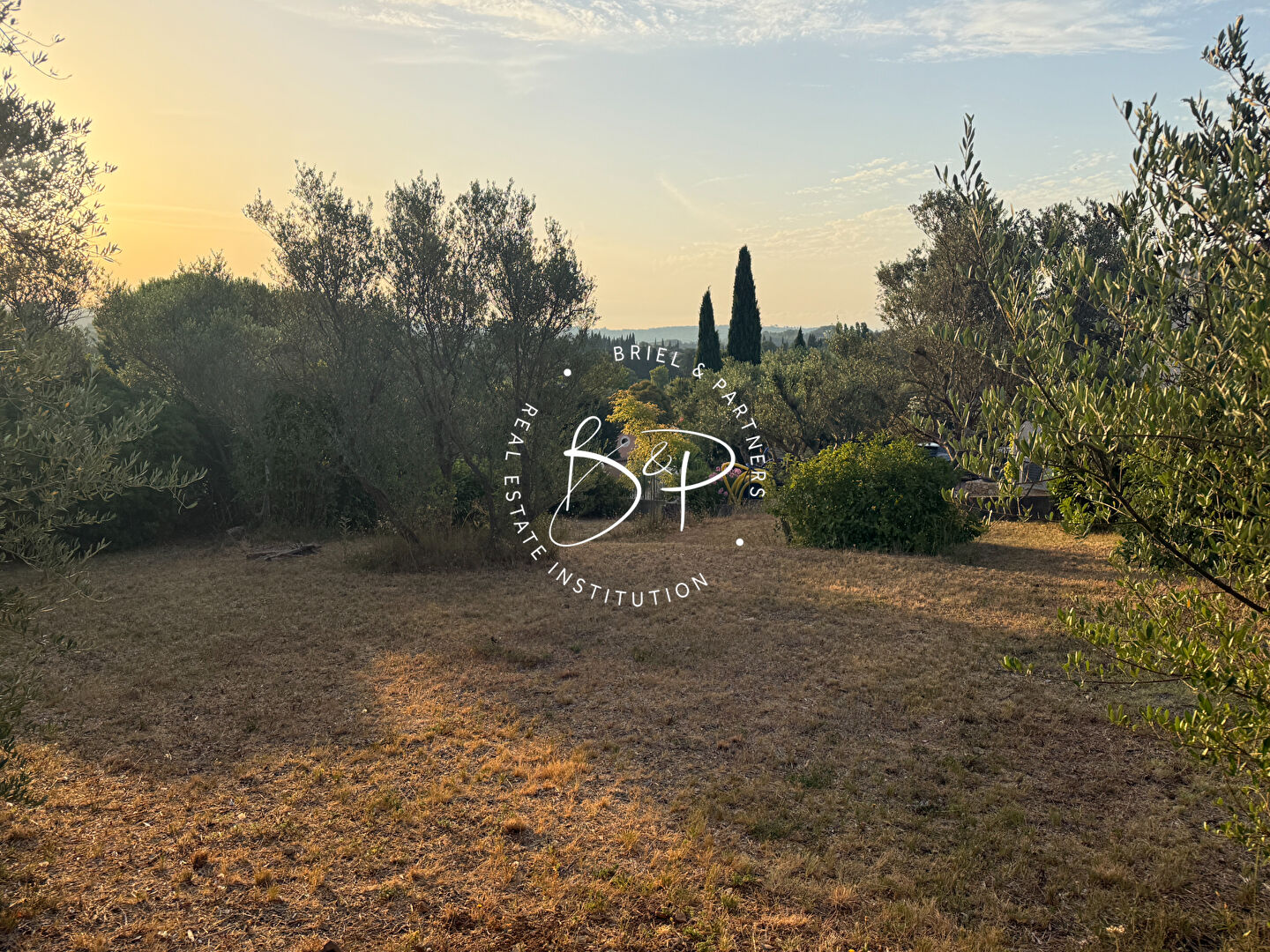 Agence immobilière de Briel,  Partners