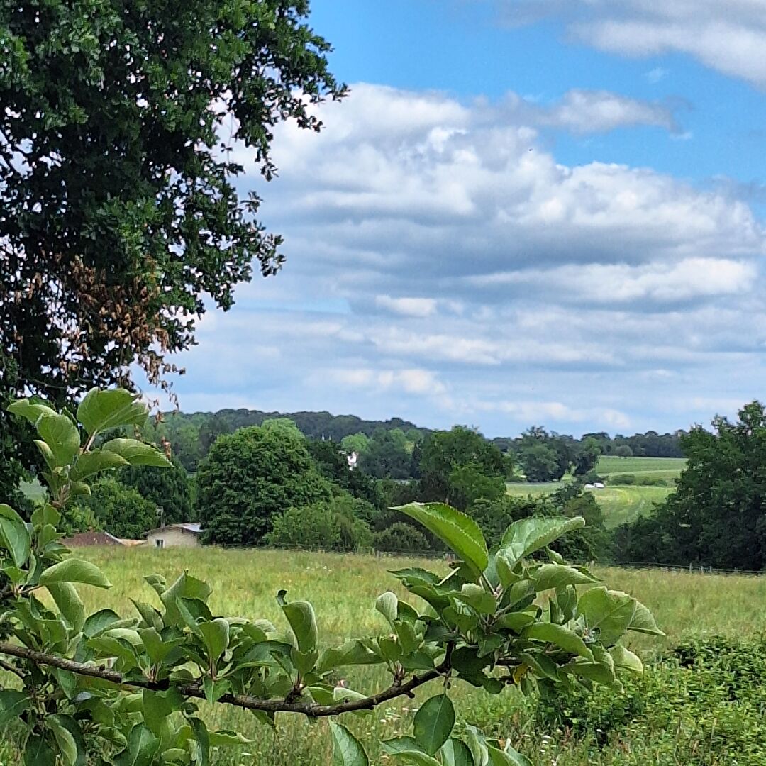 RARE! A 4 km de CENAC CENTRE