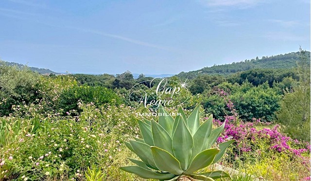 Photo Maison - 3 pièce(s) - 71 m2 image 2/6