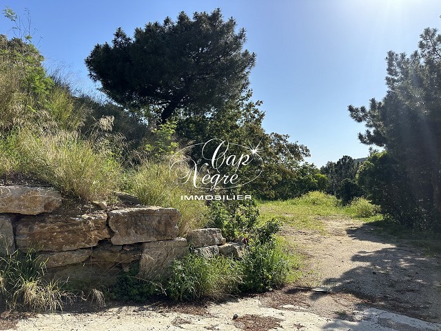 Photo Terrain image 1/5