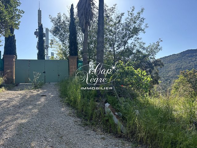 Photo Terrain image 2/5