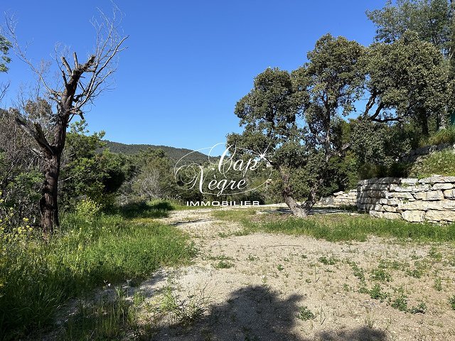 Photo Terrain image 3/5