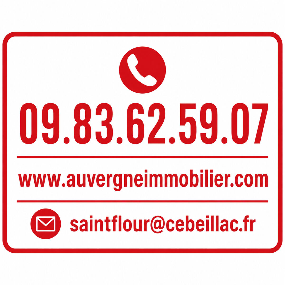 Local commercial Saint Flour 4 pièce(s) 738 m2