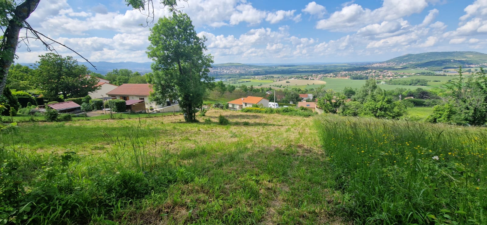 Terrain Constructible de 1233 m2
