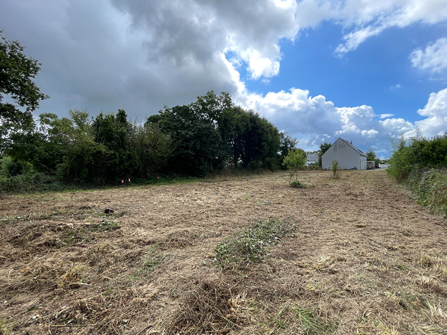 Achat Terrain Clohars Fouesnant 1844 m2