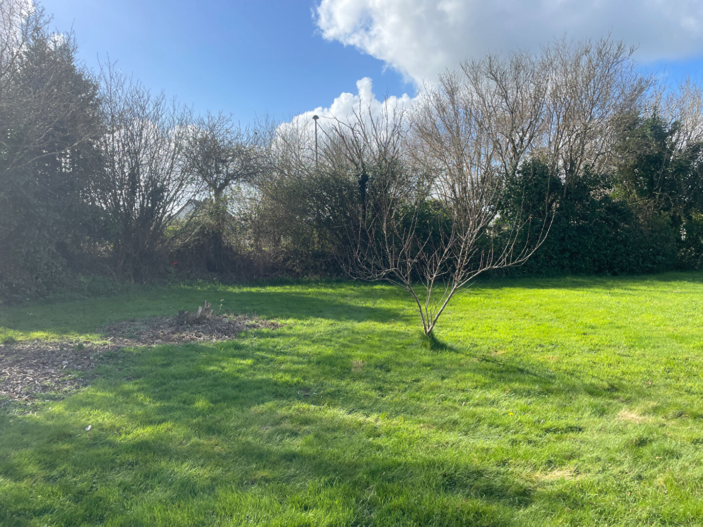 Agence immobilière de CHAILLOUX IMMOBILIER Fouesnant