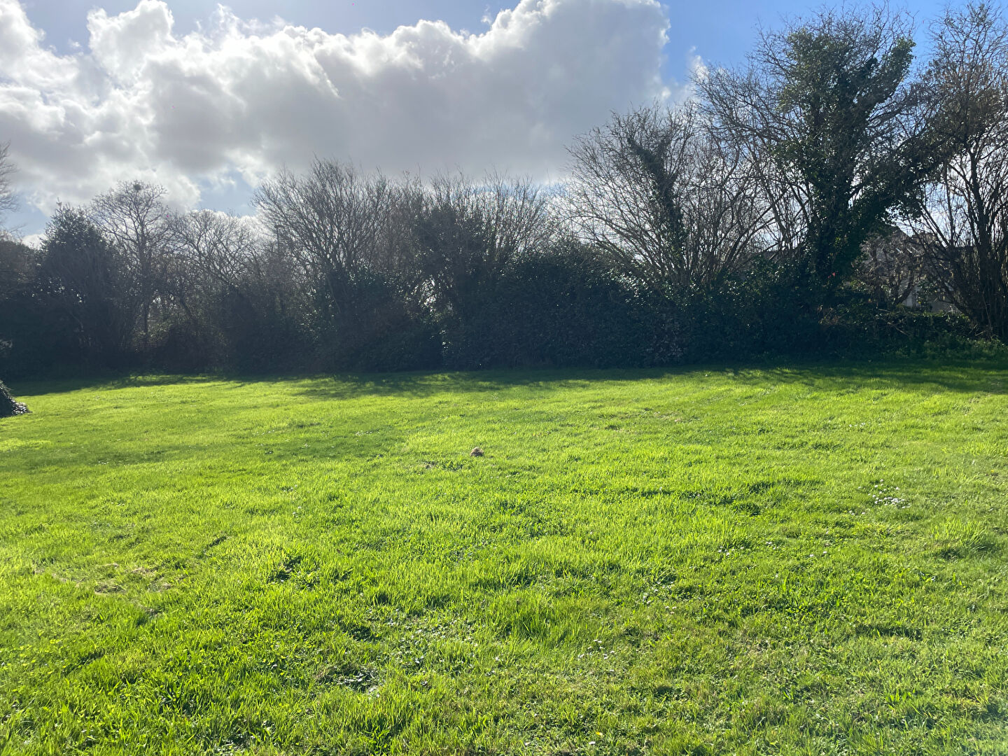 Agence immobilière de CHAILLOUX IMMOBILIER Fouesnant