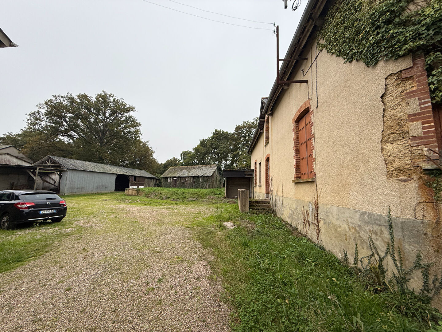 Photo du bien