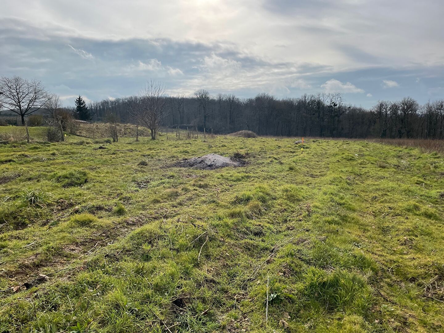 Terrain à vendre à Reugny - Opportunité rare !