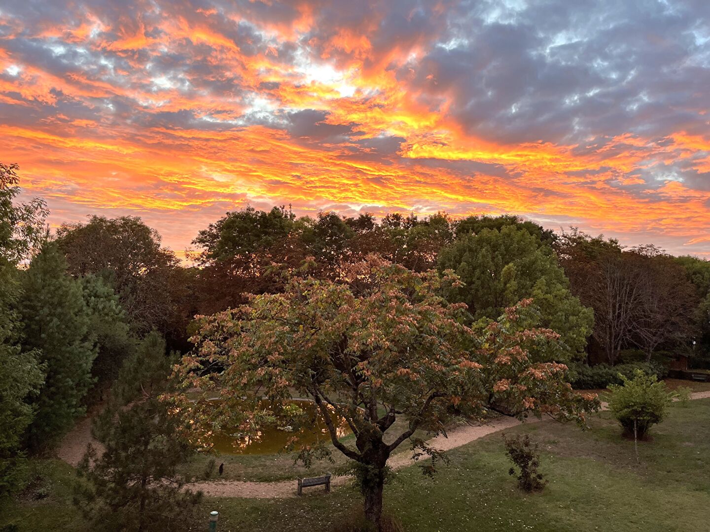 APPARTEMENT AVEC VUE PANORAMIQUE ET BALCON/TERRASSE FILANT