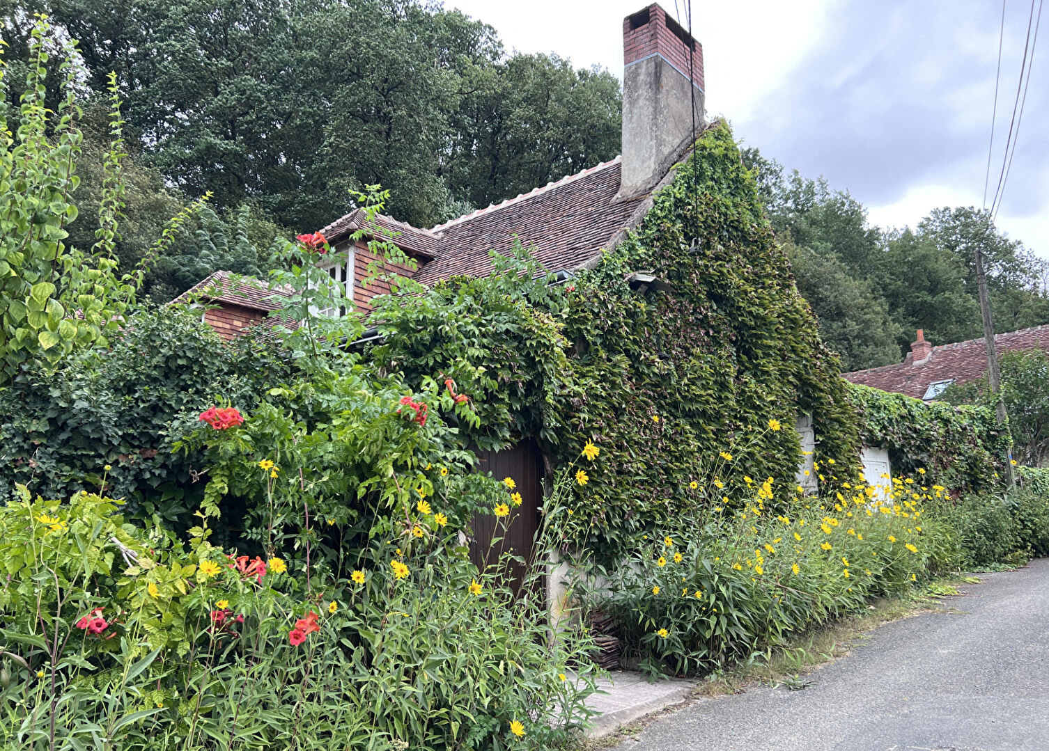 Maison de charme à Vernou sur Brenne : un projet plein de potentiel !