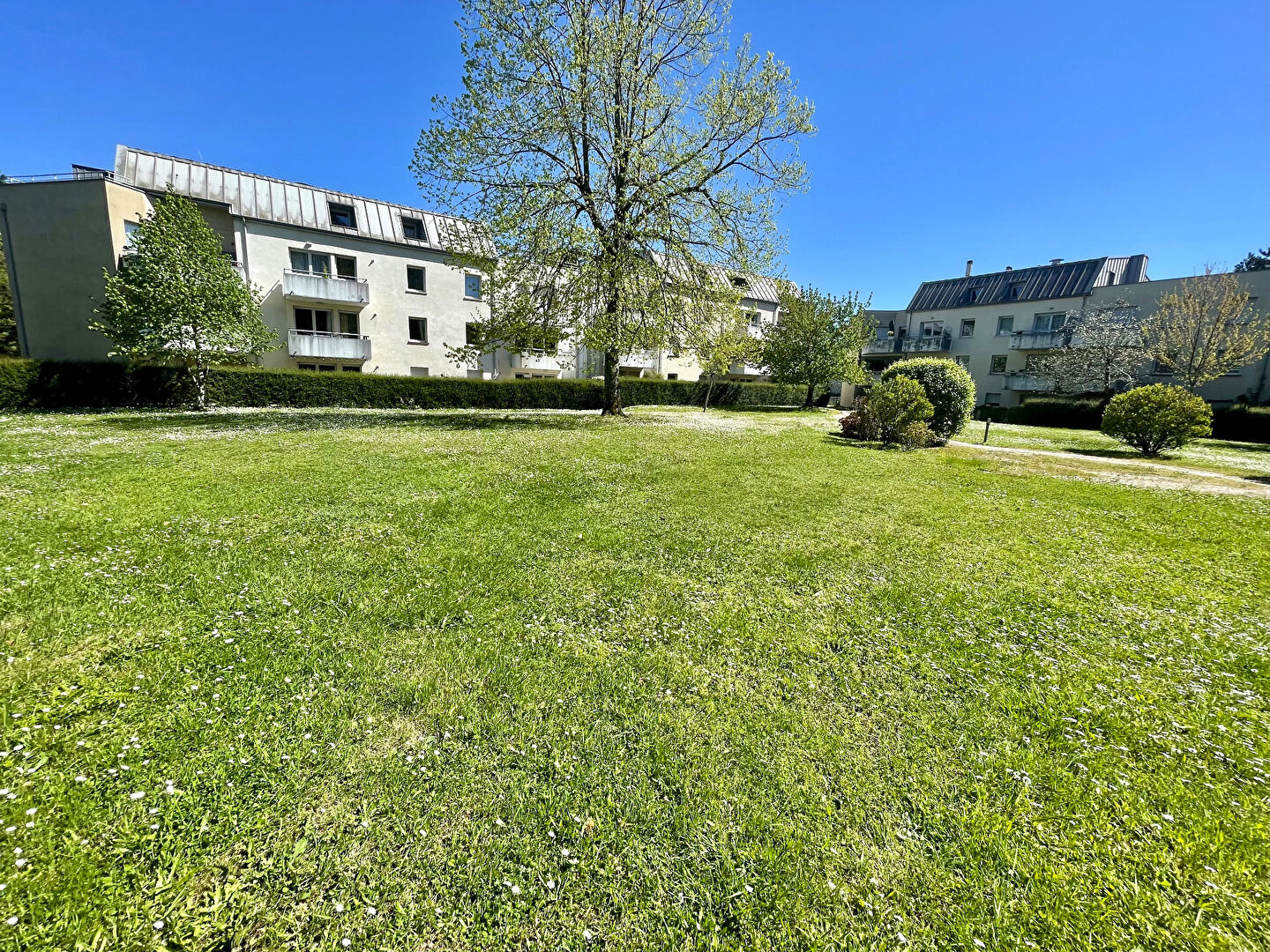 Photo Appartement T3 avec Terrasse LIMOGES image 1/6