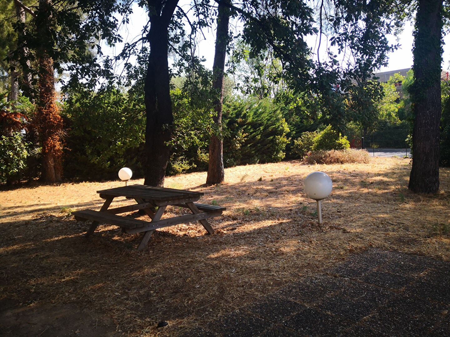 Photo A louer la Seyne immeuble de bureaux / locaux 780 m2 image 3/6