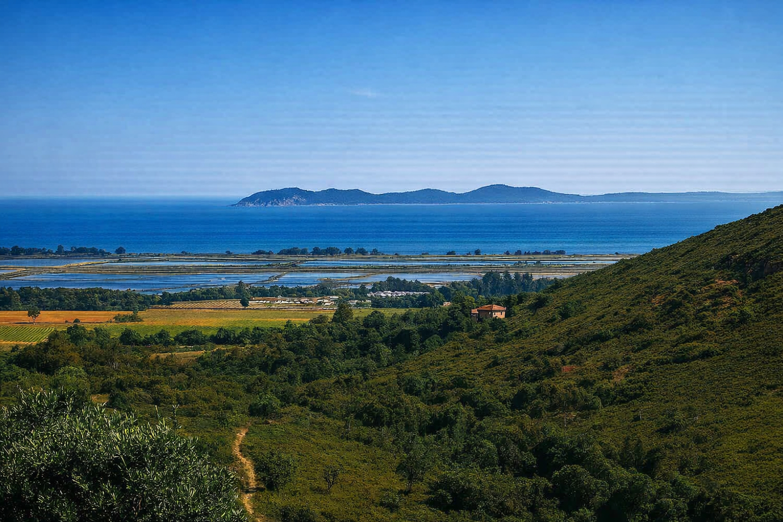 Agence immobilière de Chez toit Immobilier Solliès-Pont