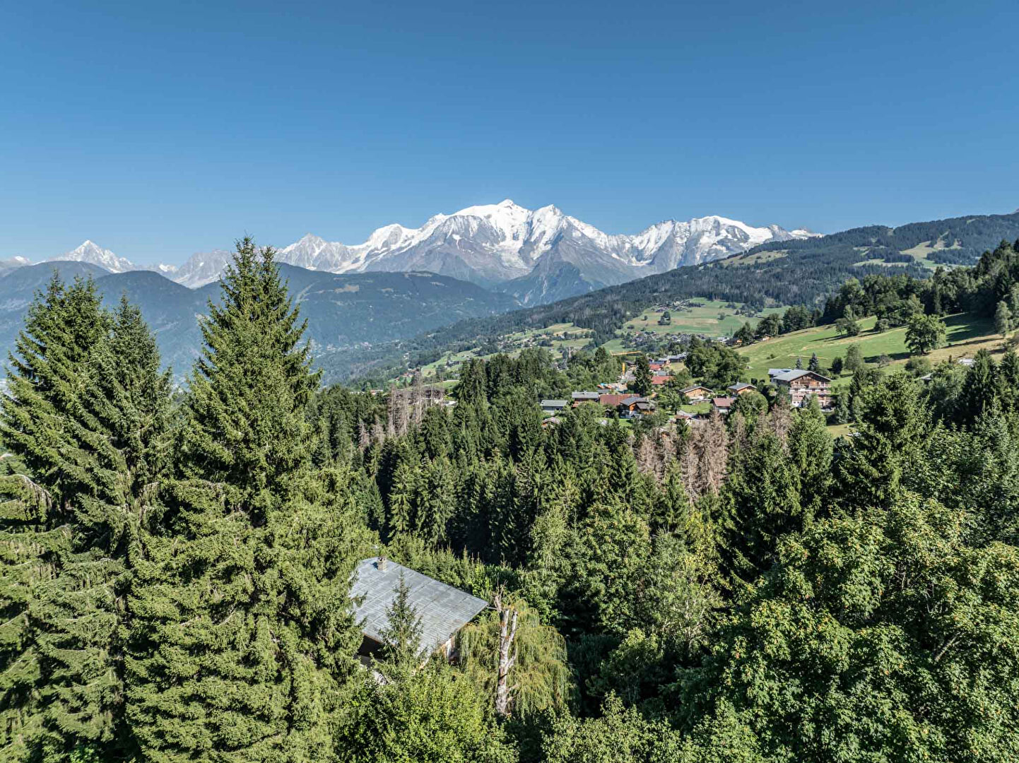 property_image
